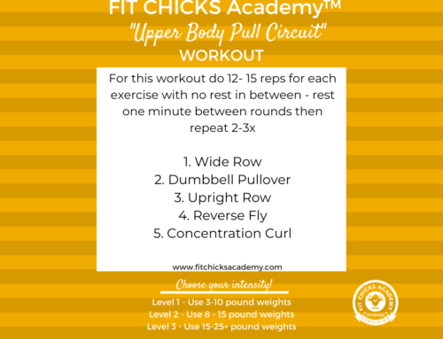 FIT CHICKS Friday “Upper Body Pull Circuit”