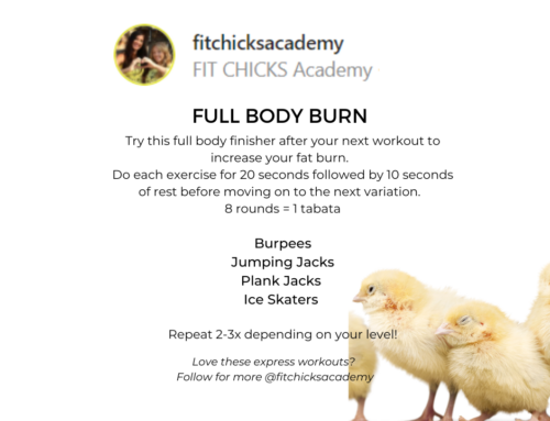 FIT CHICKS Friday “Full Body Burn” Workout