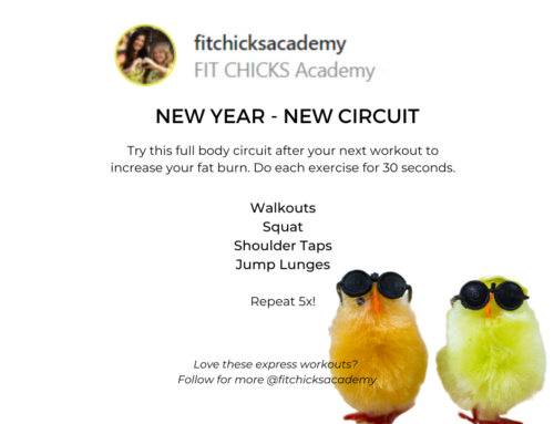 FIT CHICKS Fitness Friday – “New Year – New Circuit”